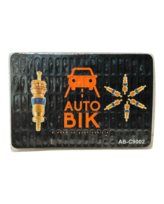 Auto Bik Valve Pin